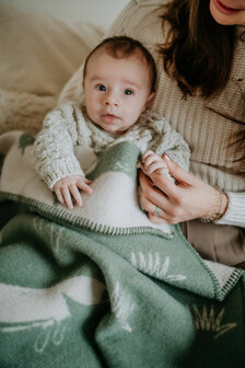 Baby blanket Wool - Fox Agave green