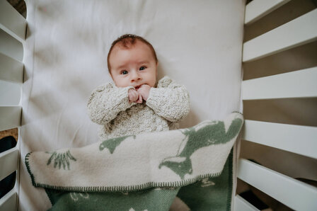 Baby blanket Wool - Fox Agave green