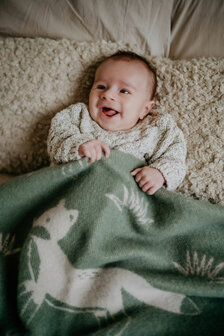 Toddler blanket Wool - Fox Agave green